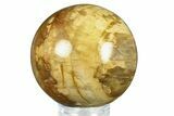 Colorful Petrified Wood (Araucaria) Sphere - Madagascar #286139-1